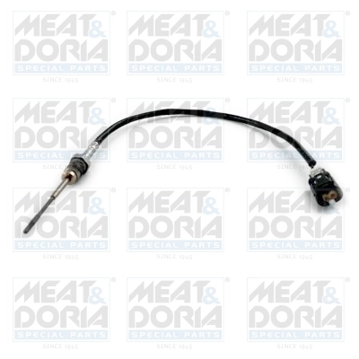 Sensor, exhaust gas temperature